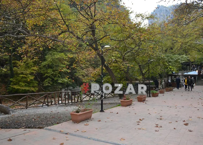 Casa De Pozar