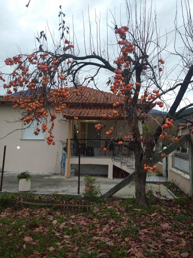Casa De Pozar